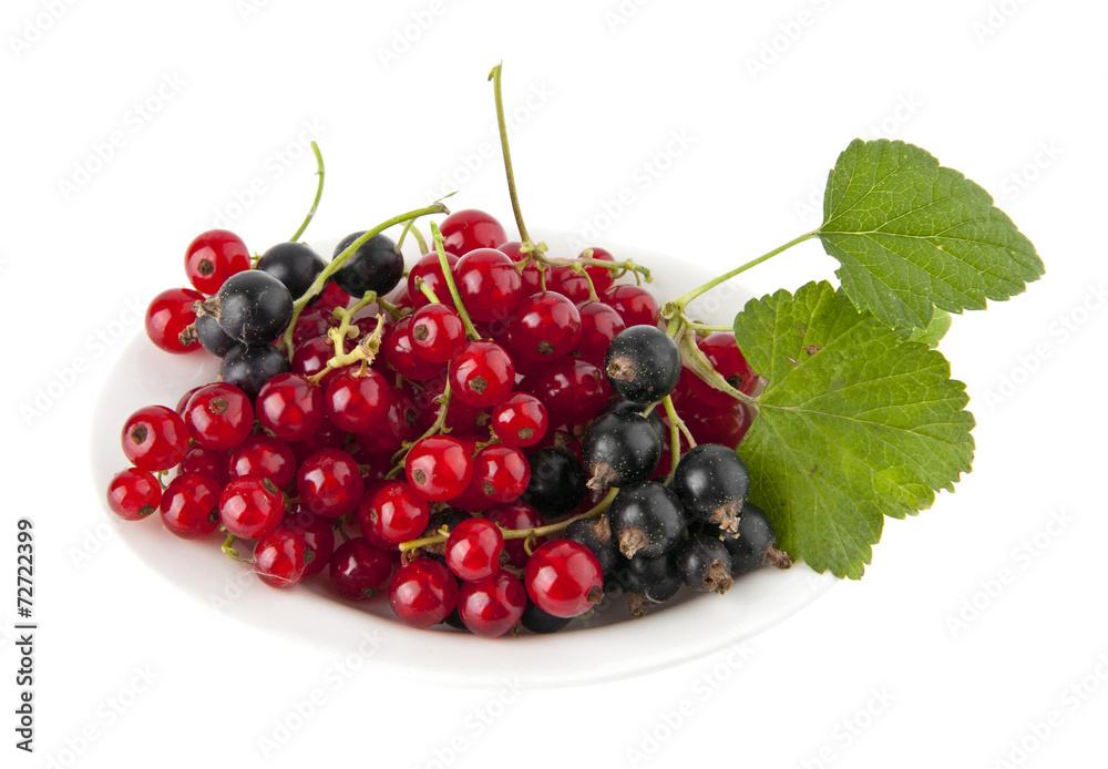 juicy currant