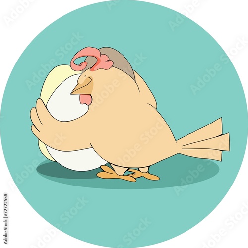 Hen in nest with eggs