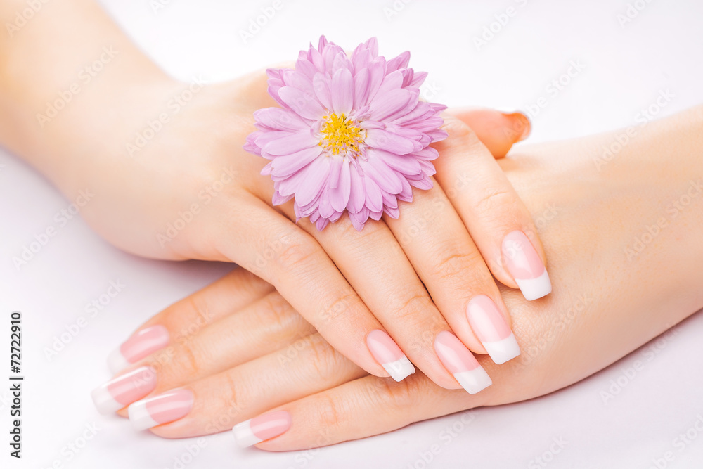 Fototapeta premium french manicure with chrysanthemum