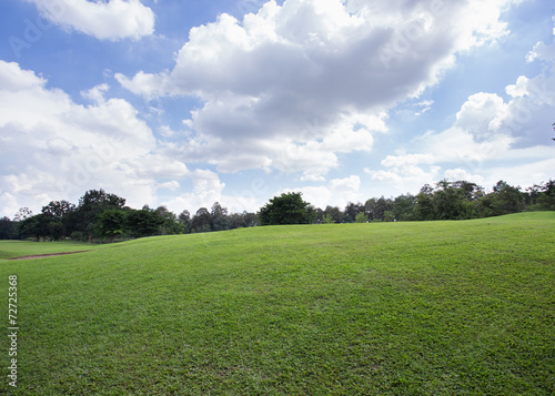 Fototapeta Naklejka Na Ścianę i Meble -  lawn of golf course, green grass field in the park