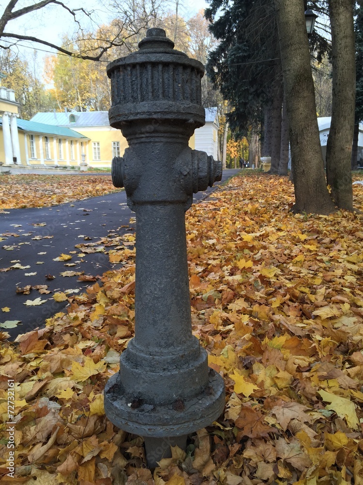 старость старость