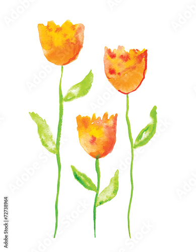 Fototapeta Naklejka Na Ścianę i Meble -  watercolor tulips, vector illustration