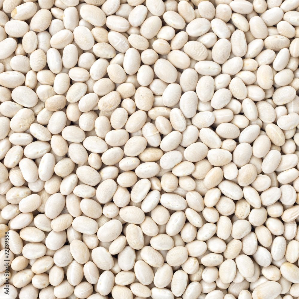 Small Navy, haricot, white pea, white kidney or Cannellini Purga Small Navy, haricot, white pea, white kidney or Cannellini Purga