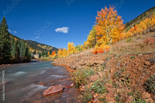 Colorado Mountain Stream in Autumn