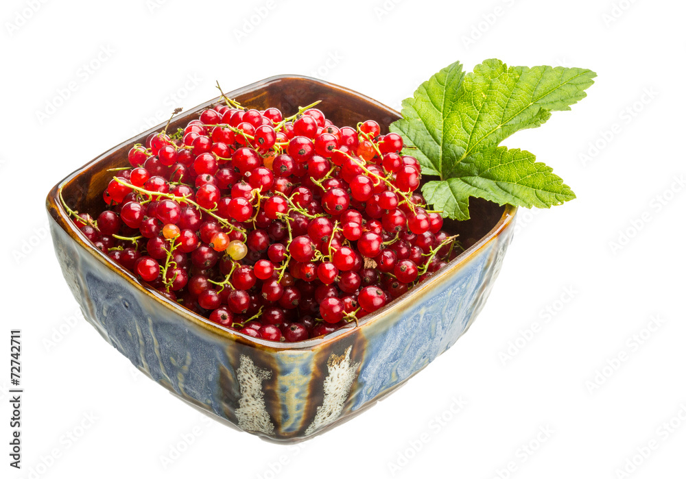 Red currant Red currant