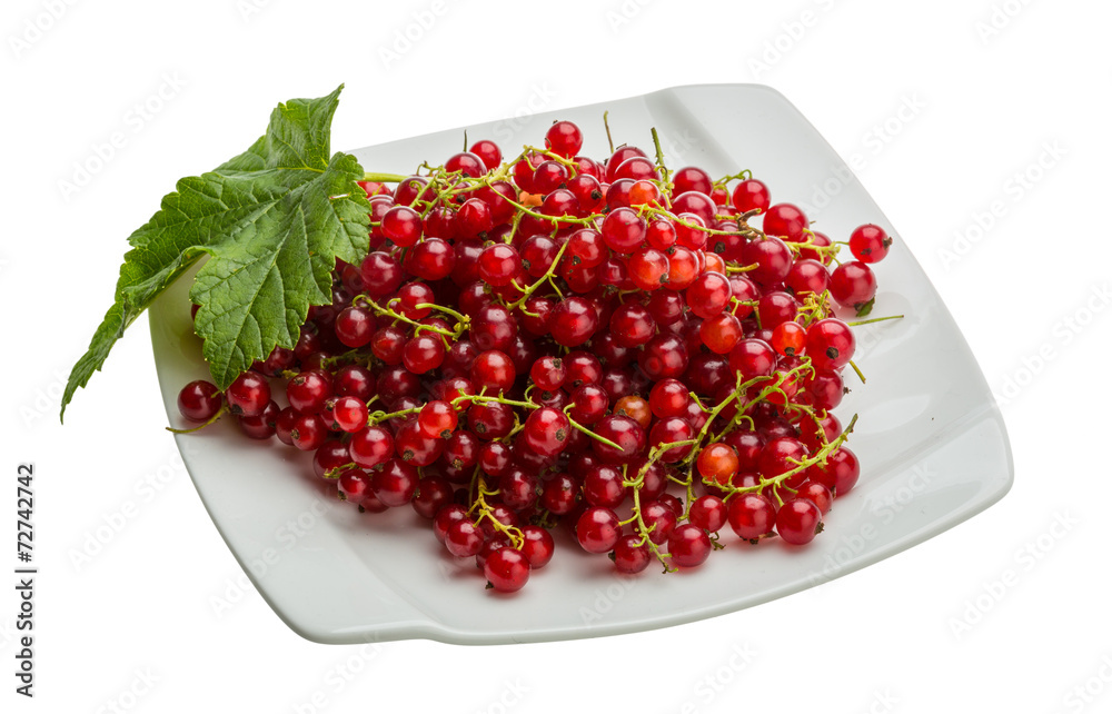 Red currant Red currant
