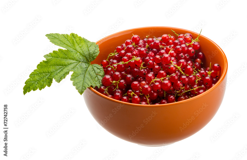 Red currant Red currant