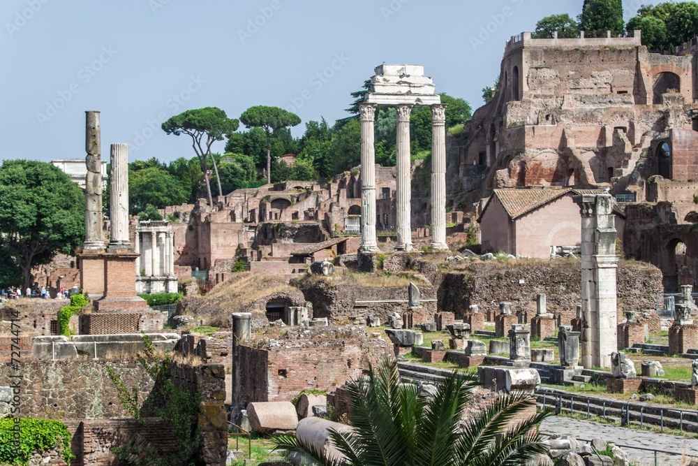 Ruins of the Forum Romanum in Rome