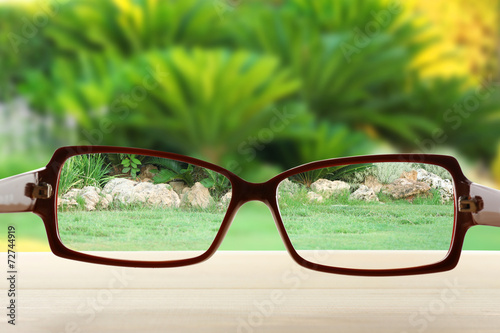 Fototapeta Naklejka Na Ścianę i Meble -  Vision concept. Glasses on green background