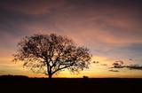 Pôr-do-sol no Cerrado goiano