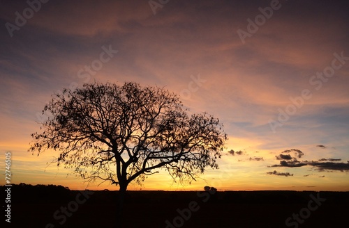 Pôr-do-sol no Cerrado goiano photo