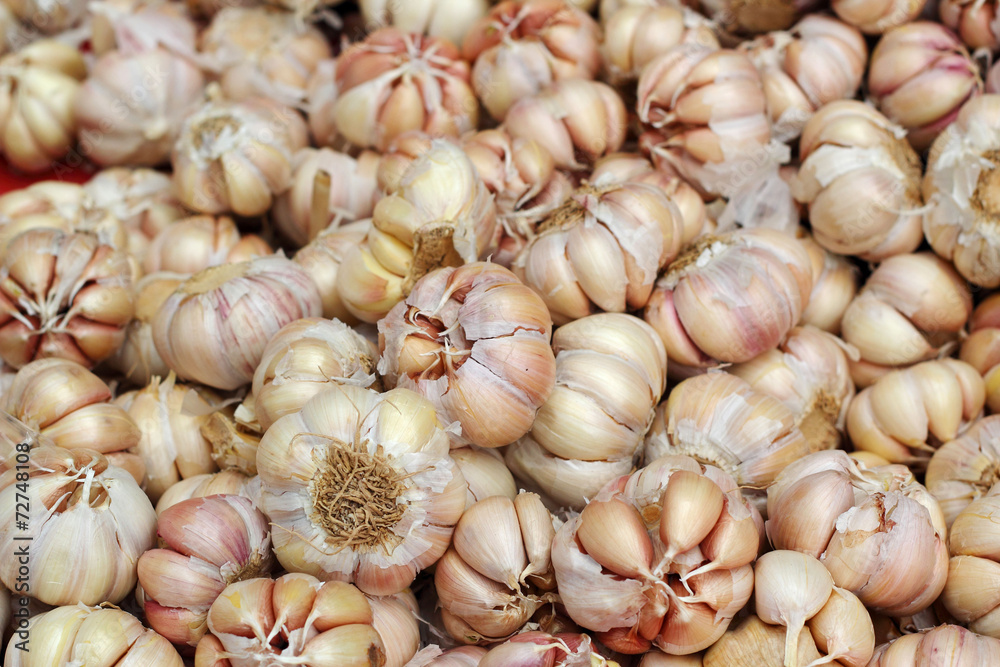 Garlic in the market Garlic in the market