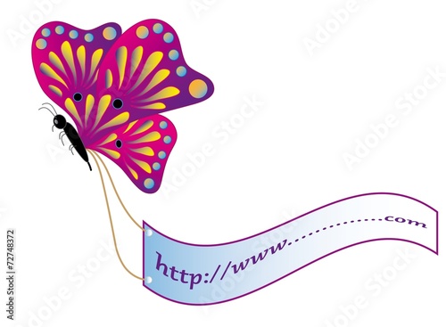 Butterfly in frame with space for your text