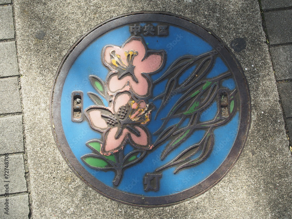 Manhole drain cover on the street at Tsukiji, Tokyo - Japan Manhole drain cover on the street at Tsukiji, Tokyo - Japan