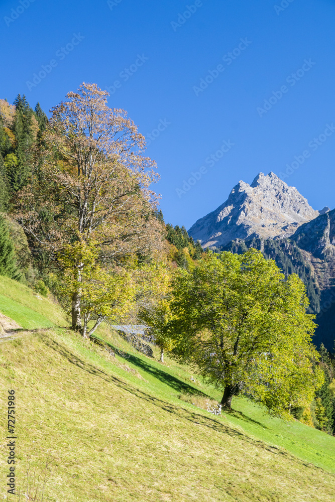 Herbst in den Alpen