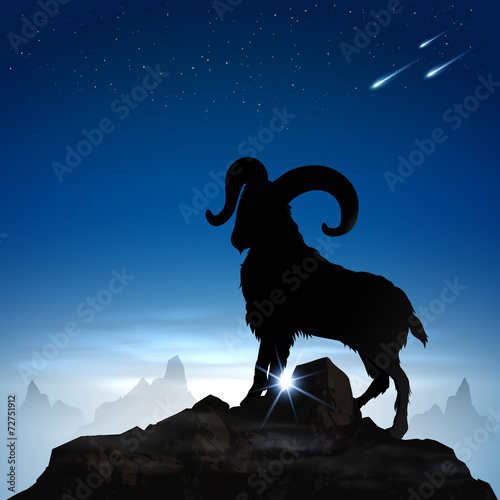 Mountain goat