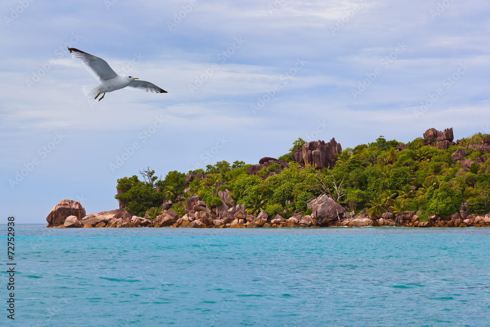 Naklejka premium Tropical island La Digue - Seychelles