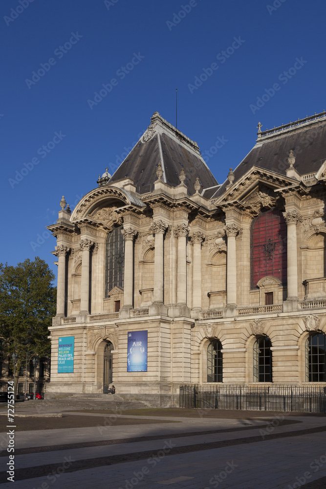 Obraz premium Museum of Fine Arts of Lille, Nord, Nord-Pas-de-Calais, France