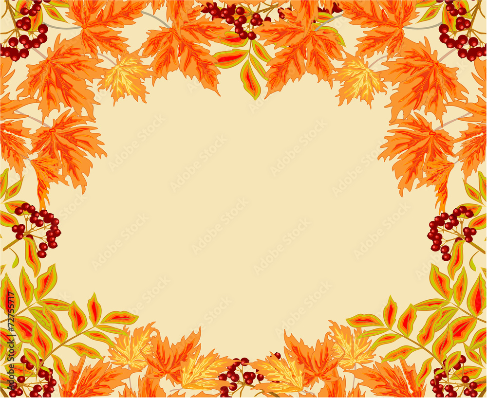 Frame from leaves rowan berry and maple autumn vector Frame from leaves rowan berry and maple autumn vector