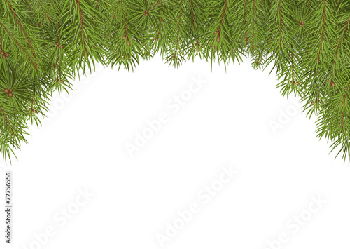 Tannenzweige, Weihnachten, Hintergrund, Vorlage, Textfeld, Weiß