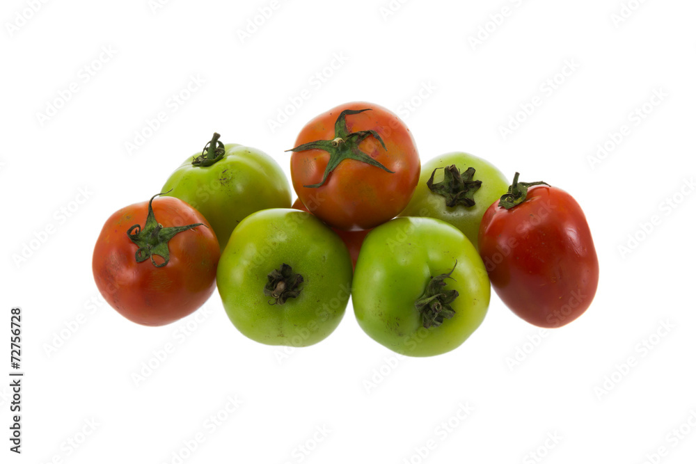 Tomatoes Tomatoes
