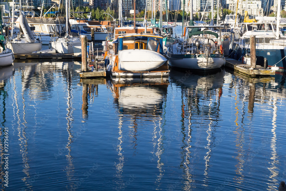 yachts in the harbor