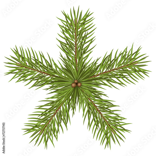 Weihnachtsstern, Tannenzweige, Stern, Weihnachten, Tannengrün