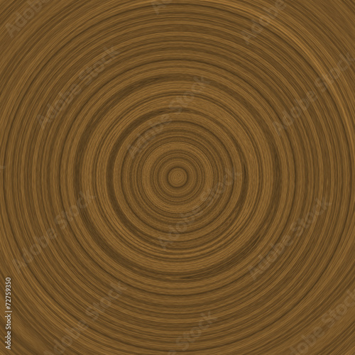 Growth rings illustration (dendrochronology)