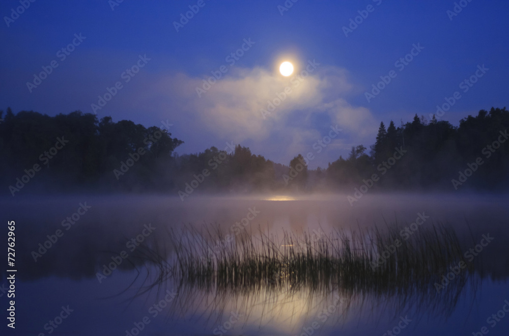 custom made wallpaper toronto digitalFull moon.