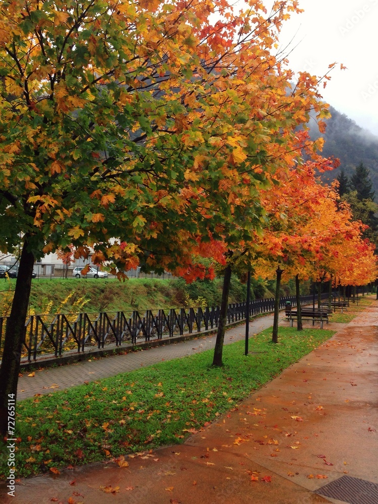 Naklejka premium foglie autunnali