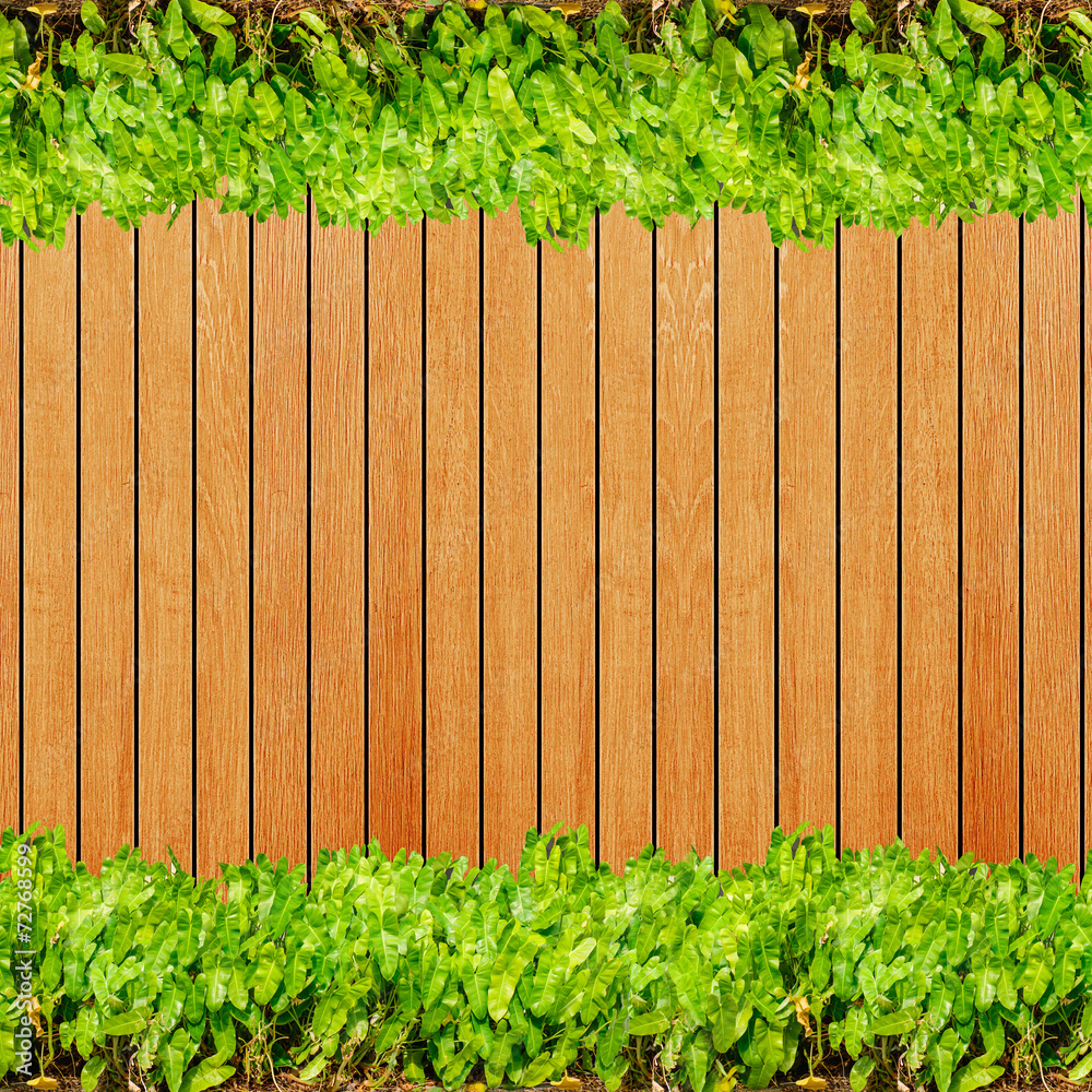 Wood texture background plank panel timber and green plant Calad Stock ...