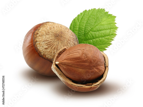 Hazelnuts and leaves photo