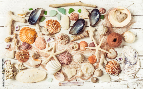 Seashells collection background, toned.Beach decoration.