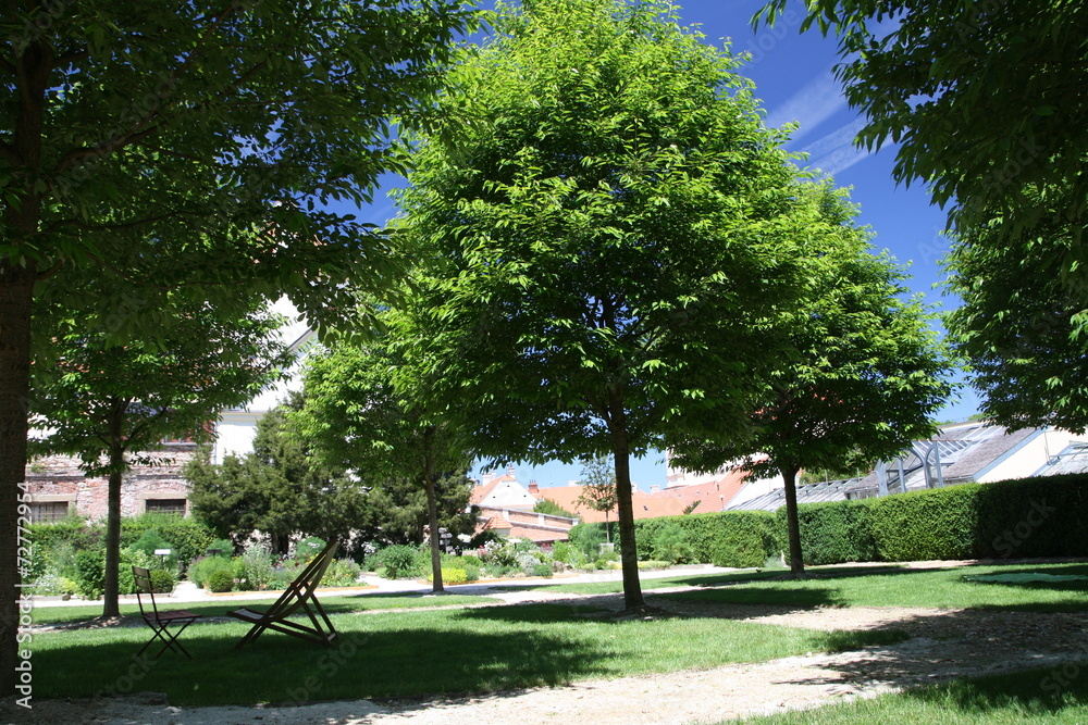 Summer landscape with grass field