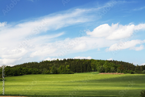 Summer landscape with grass field