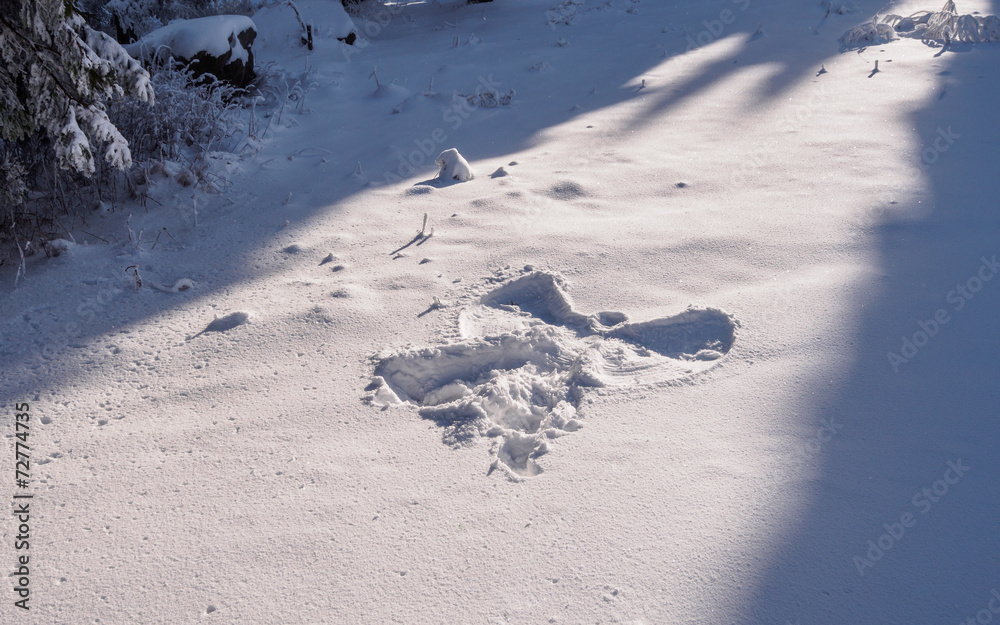 Snow angel in deep snow on a forest clearing