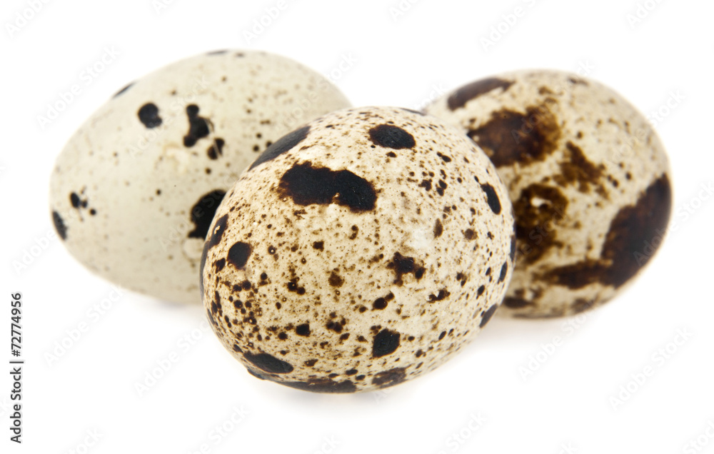 quail eggs quail eggs