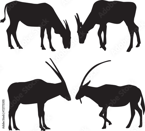 Vector silhouettes of animals