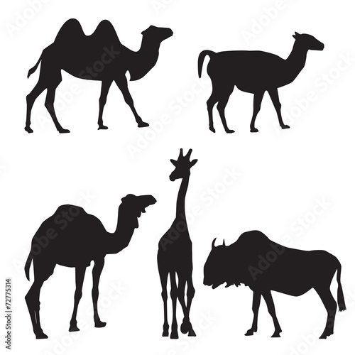 Vector silhouettes of animals