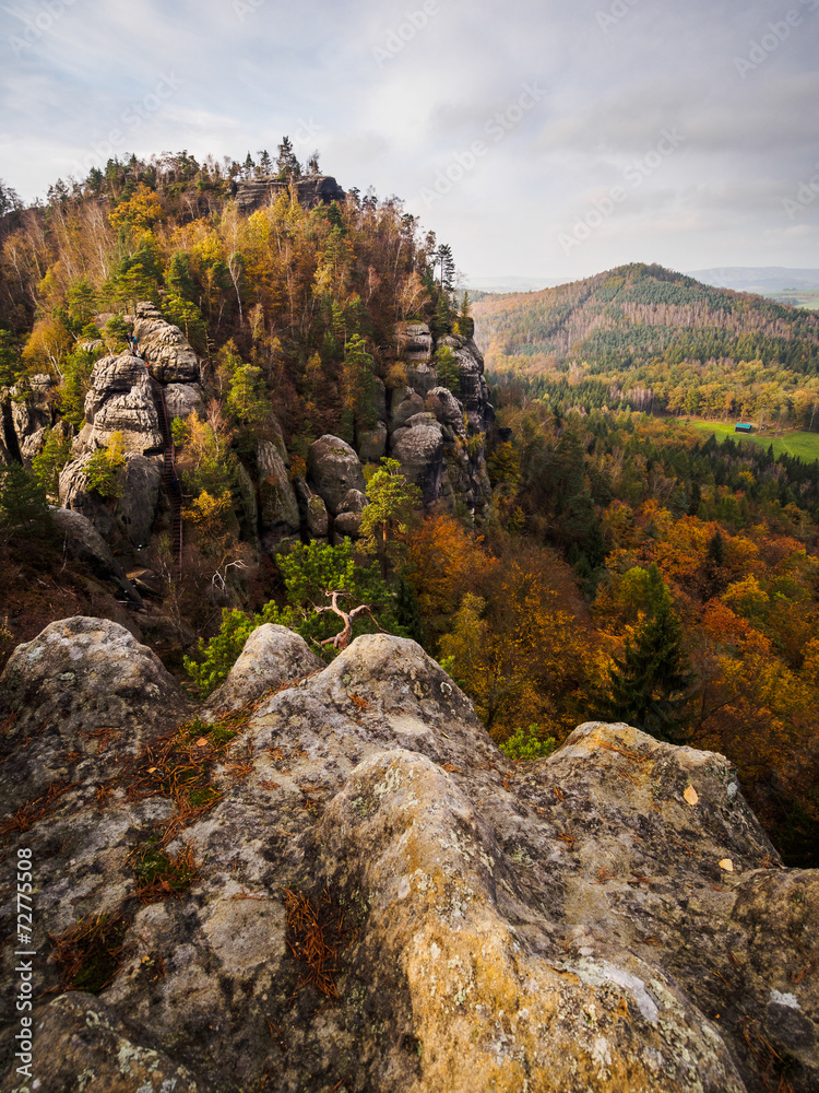Obraz premium Mountain range with colorful trees.
