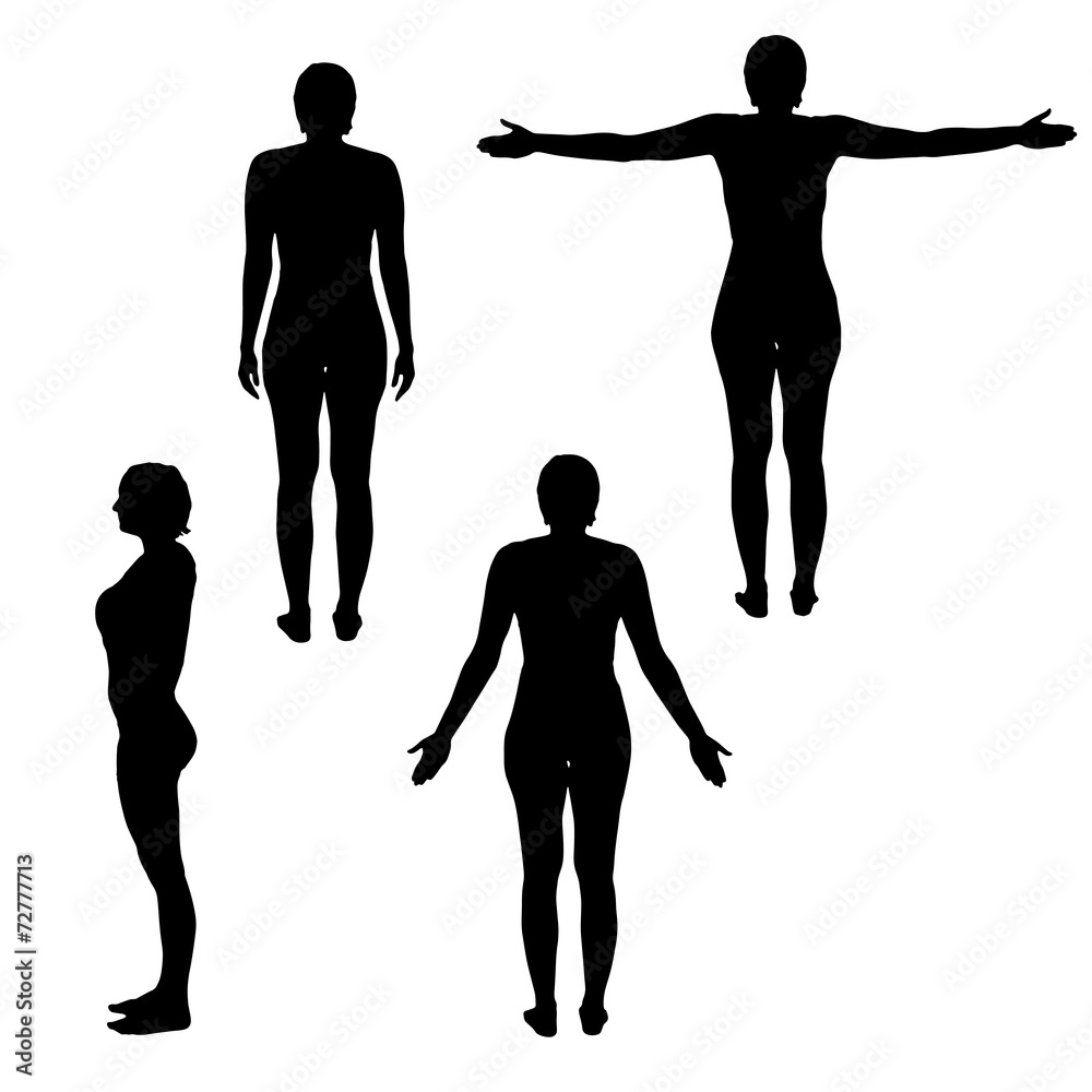 Vector silhouette of woman. Vector silhouette of woman.
