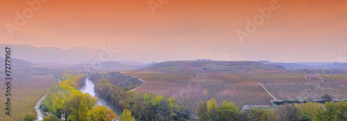 Vineyards in La Rioja, Spain.. photo