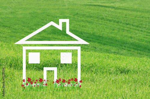 Dream house with red flowers