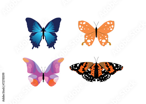 Four colorful butterflies isolated on a white background © daracd