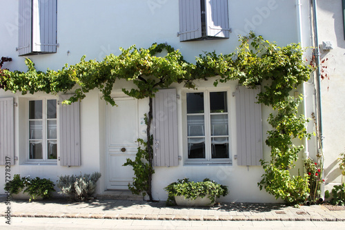 Fotografie casa con rampicante