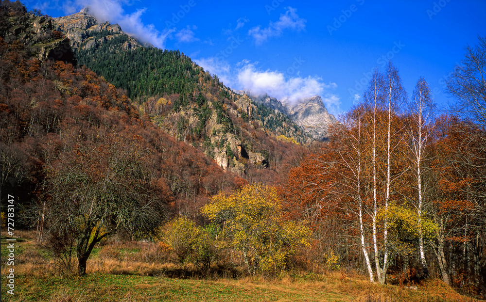 Fototapeta premium Autumn view