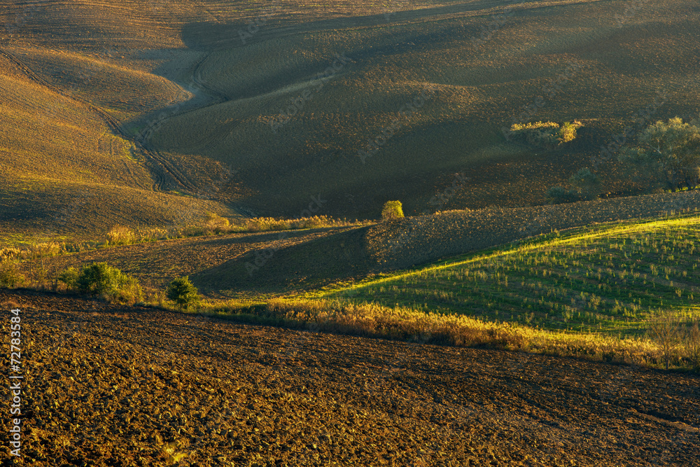 Fototapeta premium Toscania, Włochy, Krajobraz wiejski