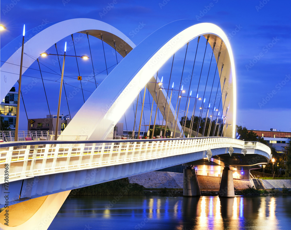 Fototapeta premium Lyon city and Rhone river