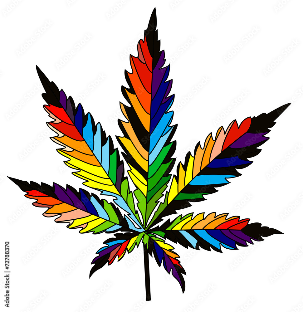canabis canabis