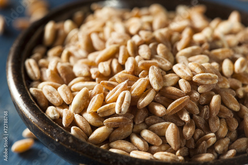 Canvas Print Organic Raw Farro Grain